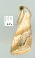  ( - gvc7260-1L)  @13 [ ] Copyright (2004) Unspecified Unspecified