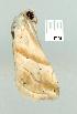  ( - gvc7261-1L)  @13 [ ] Copyright (2004) Unspecified Unspecified