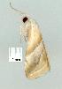  ( - gvc7262-1L)  @13 [ ] Copyright (2004) Unspecified Unspecified