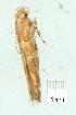  ( - gvc7266-1L)  @12 [ ] Copyright (2004) Unspecified Unspecified