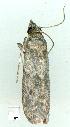  ( - gvc7278-1L)  @12 [ ] Copyright (2004) Unspecified Unspecified