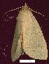  ( - gvc7311-1L)  @13 [ ] Copyright (2004) Unspecified Unspecified
