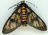  ( - gvc7345-1L)  @14 [ ] Copyright (2004) Unspecified Unspecified