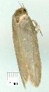  ( - gvc7363-1L)  @12 [ ] Copyright (2004) Unspecified Unspecified