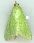  ( - gvc7382-1L)  @13 [ ] Copyright (2004) Unspecified Unspecified