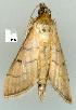  ( - gvc7398-1L)  @12 [ ] Copyright (2004) Unspecified Unspecified