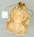  ( - gvc7409-1L)  @12 [ ] Copyright (2004) Unspecified Unspecified