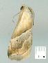  ( - gvc7418-1L)  @13 [ ] Copyright (2004) Unspecified Unspecified