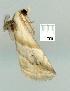  ( - gvc7419-1L)  @13 [ ] Copyright (2004) Unspecified Unspecified
