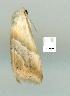  ( - gvc7421-1L)  @13 [ ] Copyright (2004) Unspecified Unspecified