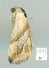  ( - gvc7422-1L)  @12 [ ] Copyright (2004) Unspecified Unspecified