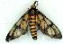  ( - gvc7506-1L)  @13 [ ] Copyright (2004) Unspecified Unspecified
