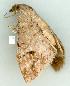  ( - gvc7533-1L)  @13 [ ] Copyright (2004) Unspecified Unspecified