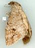  ( - gvc7534-1L)  @13 [ ] Copyright (2004) Unspecified Unspecified