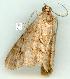  ( - gvc7535-1L)  @13 [ ] Copyright (2004) Unspecified Unspecified