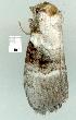  ( - gvc7546-1L)  @12 [ ] Copyright (2004) Unspecified Unspecified