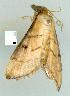  ( - gvc7548-1L)  @12 [ ] Copyright (2004) Unspecified Unspecified