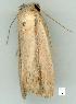  ( - gvc7563-1L)  @13 [ ] Copyright (2004) Unspecified Unspecified