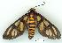  ( - gvc7568-1L)  @13 [ ] Copyright (2004) Unspecified Unspecified