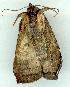  ( - gvc7595-1L)  @13 [ ] Copyright (2004) Unspecified Unspecified