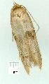  ( - gvc7618-1L)  @12 [ ] Copyright (2004) Unspecified Unspecified