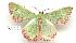  ( - gvc1562-1L)  @13 [ ] Copyright (2004) Unspecified Unspecified
