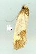  ( - gvc7668-1L)  @12 [ ] Copyright (2004) Unspecified Unspecified