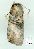  ( - gvc7692-1L)  @12 [ ] Copyright (2004) Unspecified Unspecified