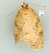  ( - gvc7725-1L)  @12 [ ] Copyright (2004) Unspecified Unspecified