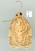  ( - gvc7726-1L)  @12 [ ] Copyright (2004) Unspecified Unspecified