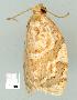  ( - gvc7727-1L)  @12 [ ] Copyright (2004) Unspecified Unspecified