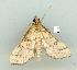  ( - gvc7776-1L)  @13 [ ] Copyright (2004) Unspecified Unspecified