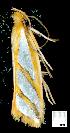  ( - gvc7782-1L)  @13 [ ] Copyright (2004) Unspecified Unspecified