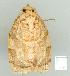  ( - gvc7813-1L)  @12 [ ] Copyright (2004) Unspecified Unspecified