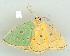  ( - gvc7817-1L)  @13 [ ] Copyright (2004) Unspecified Unspecified