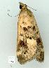  ( - gvc7842-1L)  @13 [ ] Copyright (2004) Unspecified Unspecified