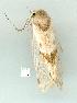  ( - gvc7863-1L)  @13 [ ] Copyright (2004) Unspecified Unspecified
