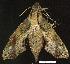  ( - gvc7924-1L)  @13 [ ] Copyright (2004) Unspecified Unspecified