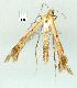  ( - gvc7935-1L)  @12 [ ] Copyright (2004) Unspecified Unspecified