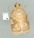  ( - gvc7962-1L)  @12 [ ] Copyright (2004) Unspecified Unspecified