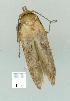  ( - gvc7969-1L)  @12 [ ] Copyright (2004) Unspecified Unspecified