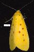  ( - gvc8010-1L)  @12 [ ] Copyright (2004) Unspecified Unspecified