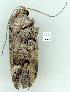  ( - gvc8047-1L)  @12 [ ] Copyright (2004) Unspecified Unspecified