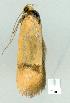  ( - gvc8066-1L)  @12 [ ] Copyright (2004) Unspecified Unspecified