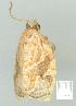 ( - gvc8109-1L)  @12 [ ] Copyright (2004) Unspecified Unspecified