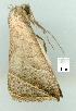  ( - gvc8143-1L)  @12 [ ] Copyright (2004) Unspecified Unspecified