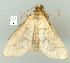  ( - gvc8182-1L)  @13 [ ] Copyright (2004) Unspecified Unspecified