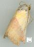  ( - gvc8185-1L)  @12 [ ] Copyright (2004) Unspecified Unspecified