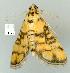  ( - gvc8195-1L)  @12 [ ] Copyright (2004) Unspecified Unspecified