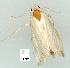  ( - gvc8243-1L)  @13 [ ] Copyright (2004) Unspecified Unspecified